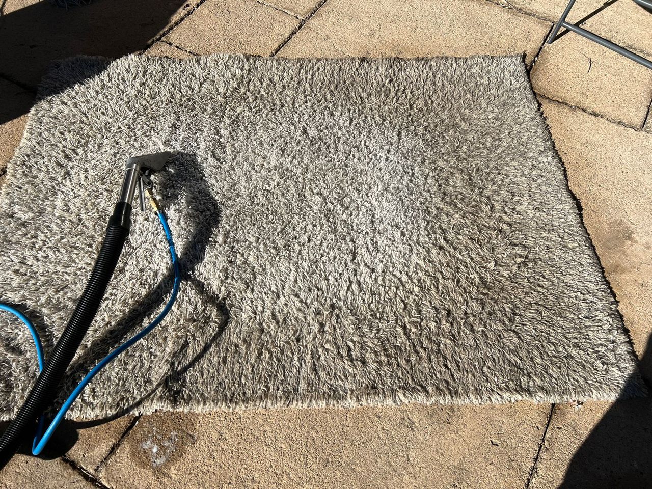 Professional carpet cleaning in Zimbabwe